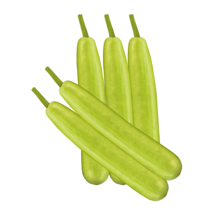Vegetable-Products-Known-You Seed India